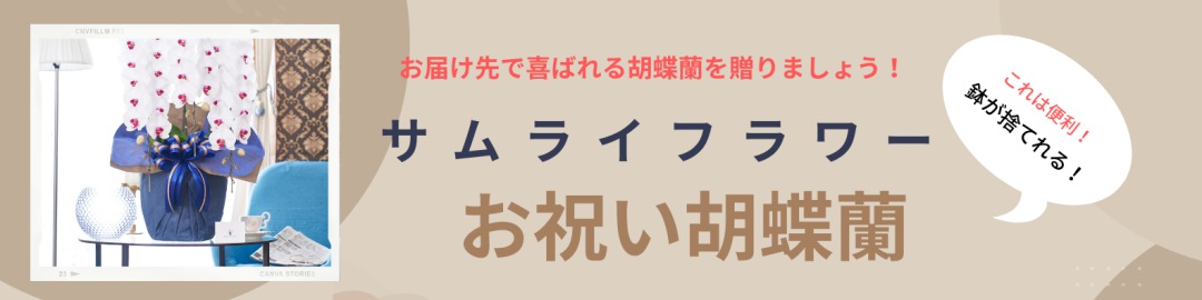 世界で一つの胡蝶蘭