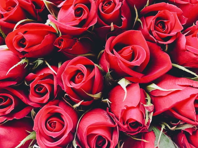 就任したときにもらうバラ