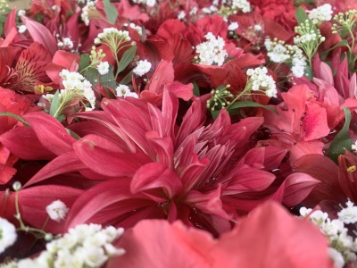 赤のフラワーアレンジメント