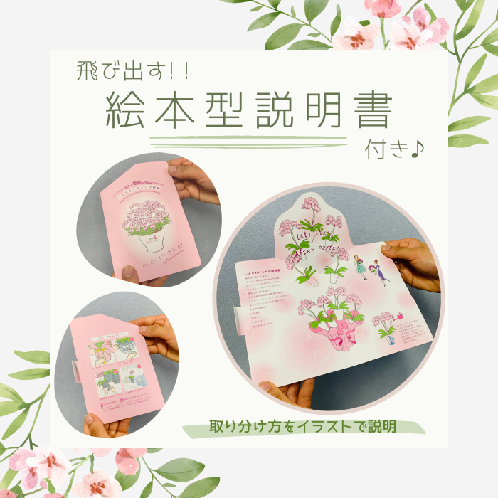 シェア胡蝶蘭の取り扱い説明書