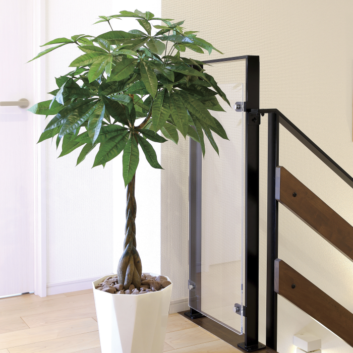 光触媒の観葉植物