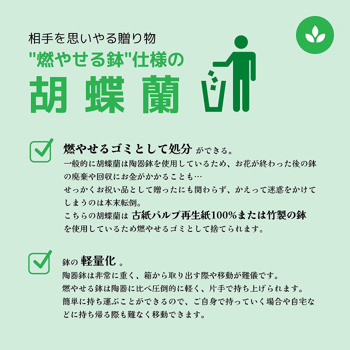 SDGsな胡蝶蘭の紹介