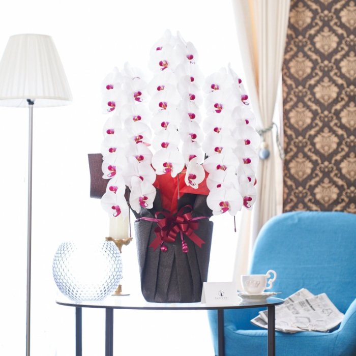 国分寺洋蘭園の赤リップ